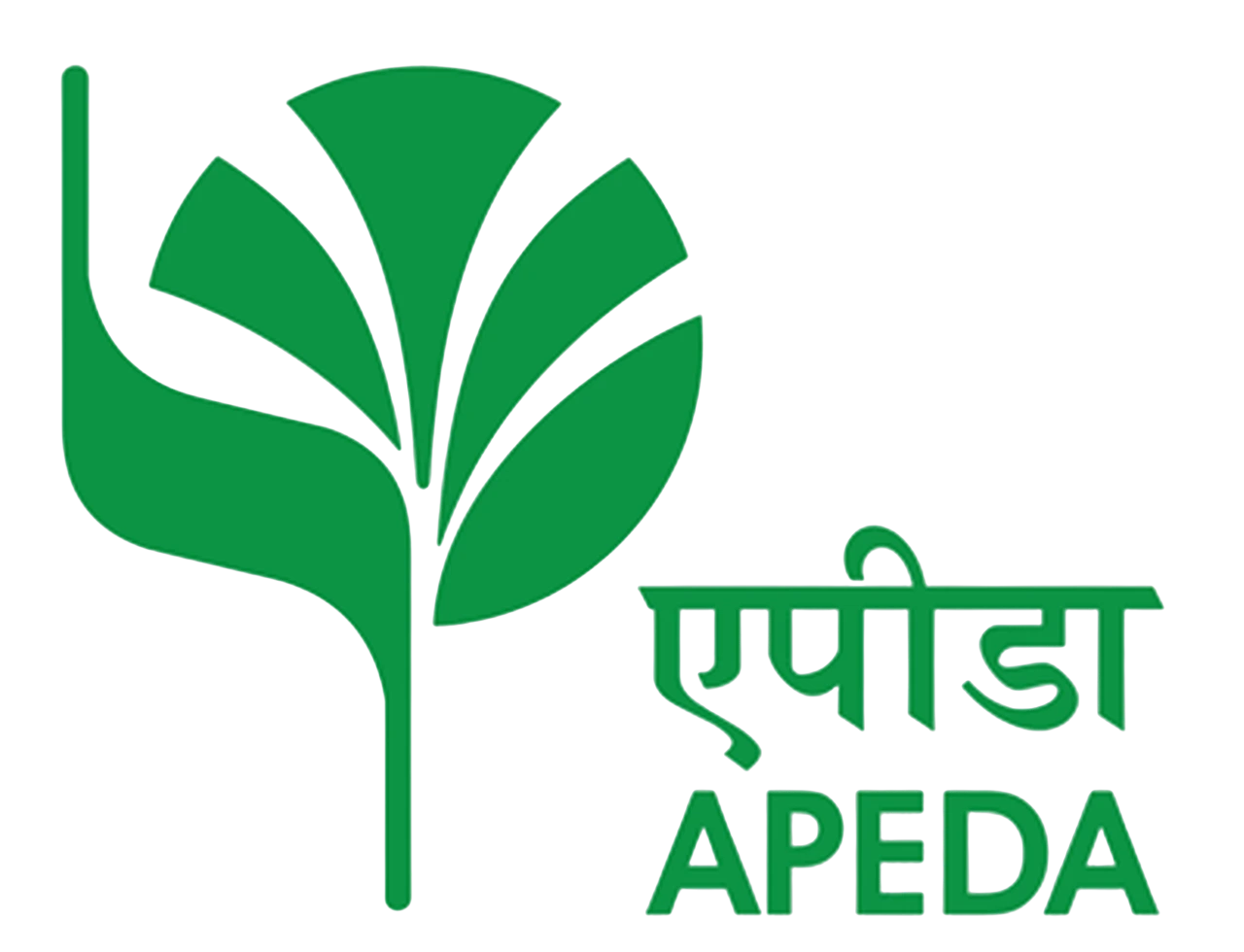 APEDA logo